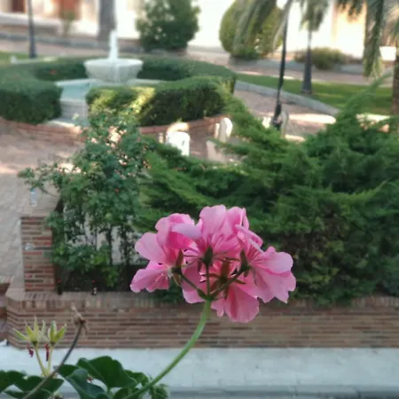 Apartamentos Calanda *