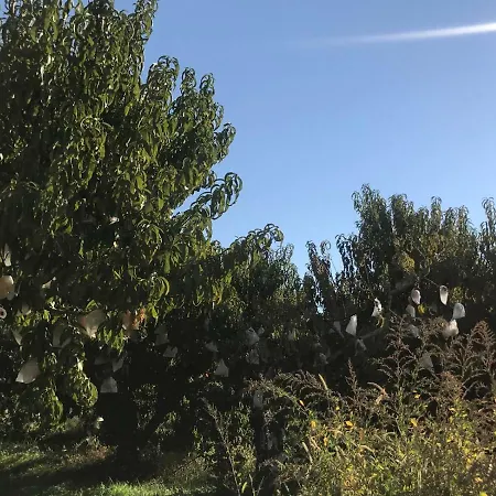 Apartamentos Calanda Διαμέρισμα Calanda